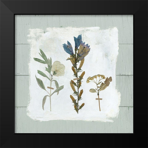 Pressed Flowers on Black Modern Wood Framed Art Print by Robinson, Carol