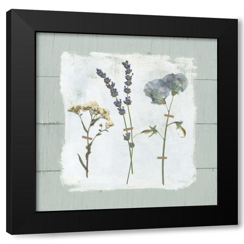 Pressed Flowers on Black Modern Wood Framed Art Print by Robinson, Carol