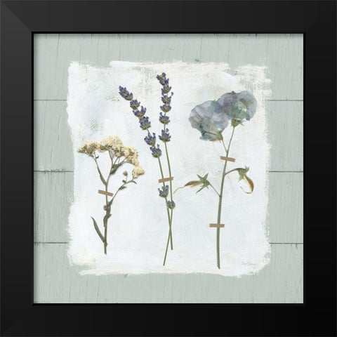 Pressed Flowers on Black Modern Wood Framed Art Print by Robinson, Carol