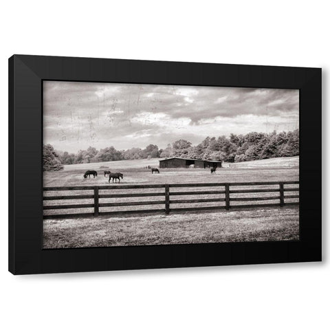 Horse Country Black Modern Wood Framed Art Print with Double Matting by Nan