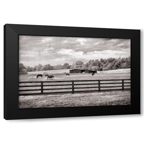 Horse Country Black Modern Wood Framed Art Print by Nan