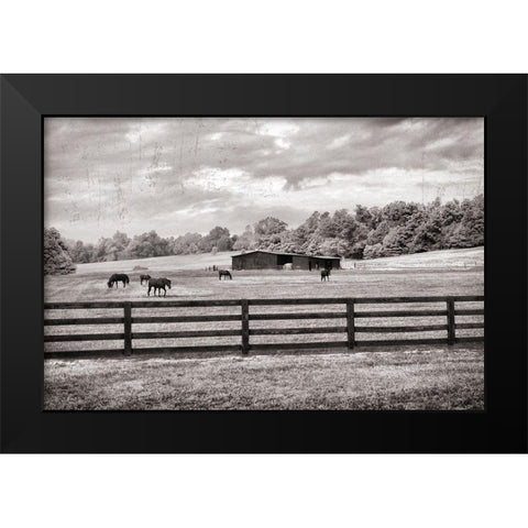 Horse Country Black Modern Wood Framed Art Print by Nan