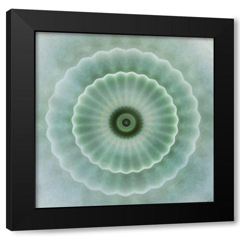 Kaleidoscope Succulent I Black Modern Wood Framed Art Print by Weisz, Irene