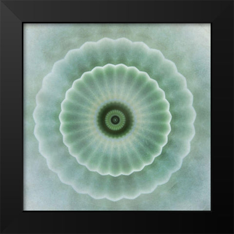 Kaleidoscope Succulent I Black Modern Wood Framed Art Print by Weisz, Irene