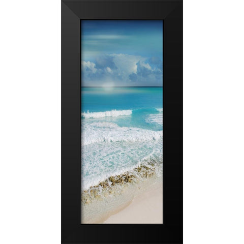 Simply Caribbean I Black Modern Wood Framed Art Print by Nan