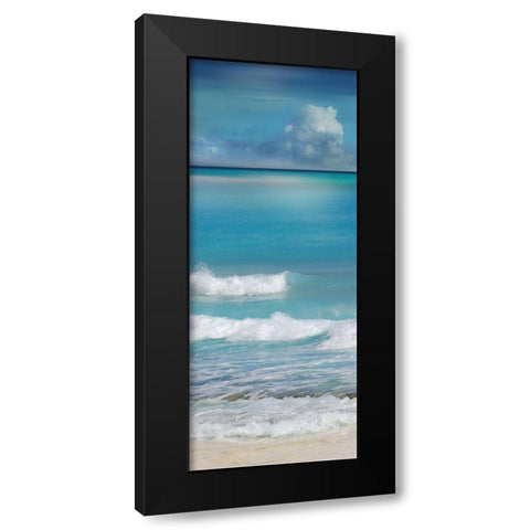 Simply Caribbean II Black Modern Wood Framed Art Print with Double Matting by Nan