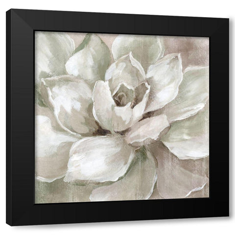 Hazy Summer Succulent Black Modern Wood Framed Art Print with Double Matting by Nan