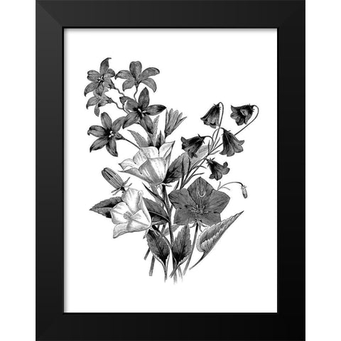 Botanical Black and Black Modern Wood Framed Art Print by Donovan, Kelly