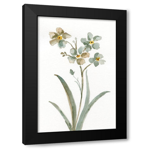 Neutral Botanical II Black Modern Wood Framed Art Print with Double Matting by Nan