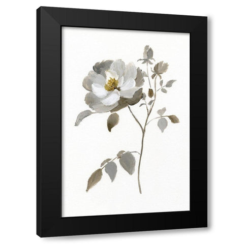 Neutral Rose II Black Modern Wood Framed Art Print by Nan