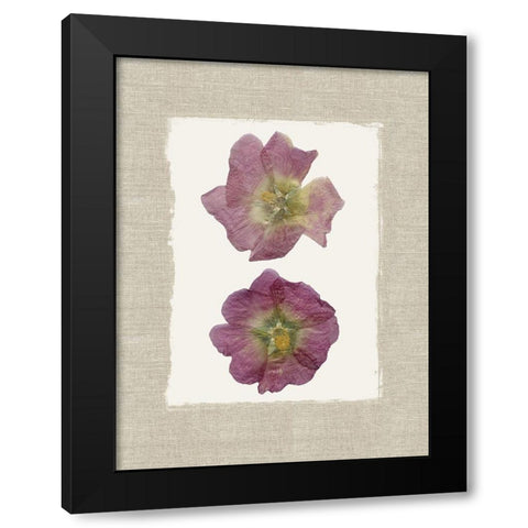 Pressed Duo Black Modern Wood Framed Art Print with Double Matting by Robinson, Carol