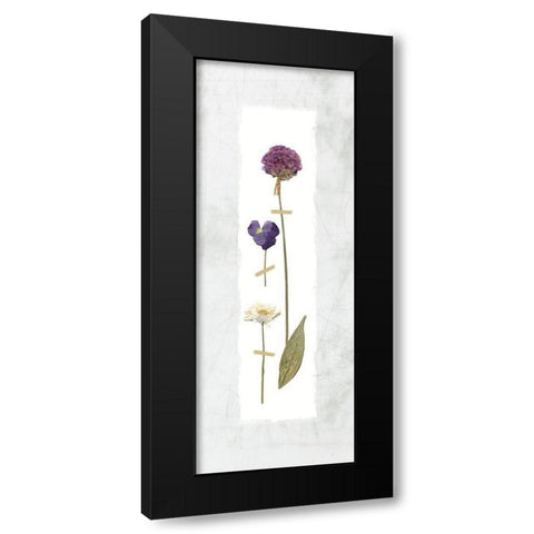 Pressed Panel I Black Modern Wood Framed Art Print with Double Matting by Robinson, Carol