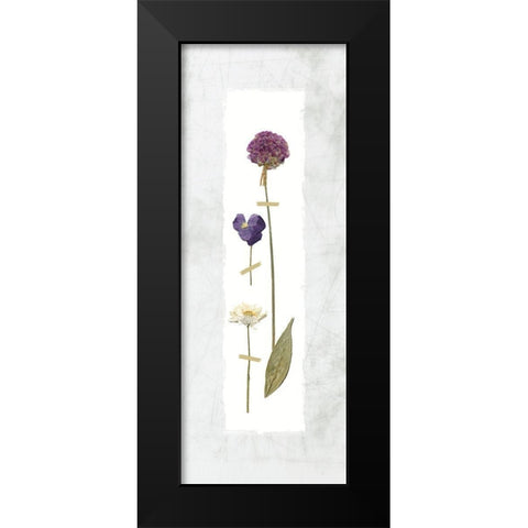 Pressed Panel I Black Modern Wood Framed Art Print by Robinson, Carol