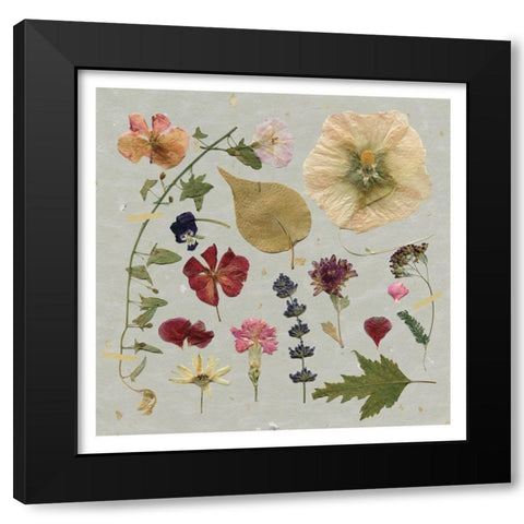 Pressed Assortment Black Modern Wood Framed Art Print by Robinson, Carol