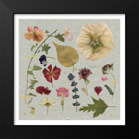 Pressed Assortment Black Modern Wood Framed Art Print by Robinson, Carol