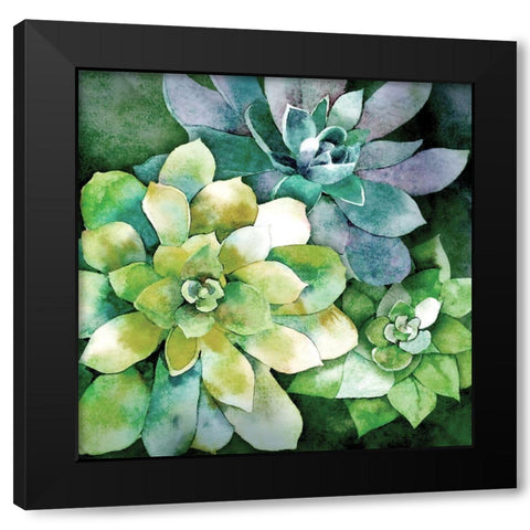 Summer Succulents Black Modern Wood Framed Art Print with Double Matting by Knutsen, Conrad