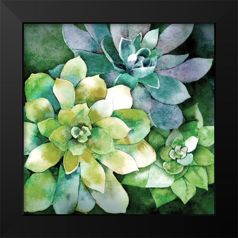 Summer Succulents Black Modern Wood Framed Art Print by Knutsen, Conrad