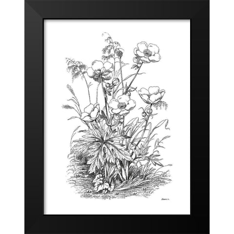 Botanical Black and Black Modern Wood Framed Art Print by Donovan, Kelly