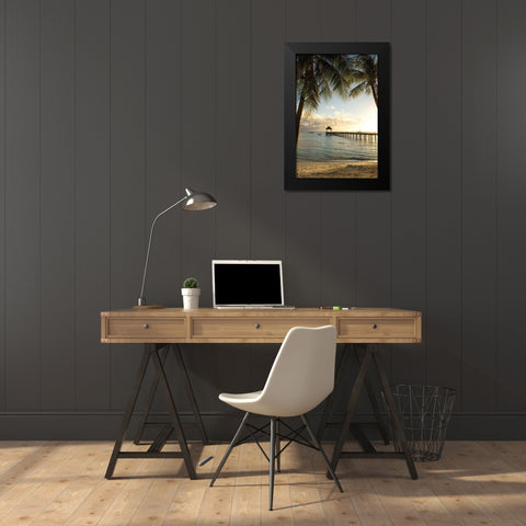 Pier and Palm Black Modern Wood Framed Art Print by Delimont, Danita