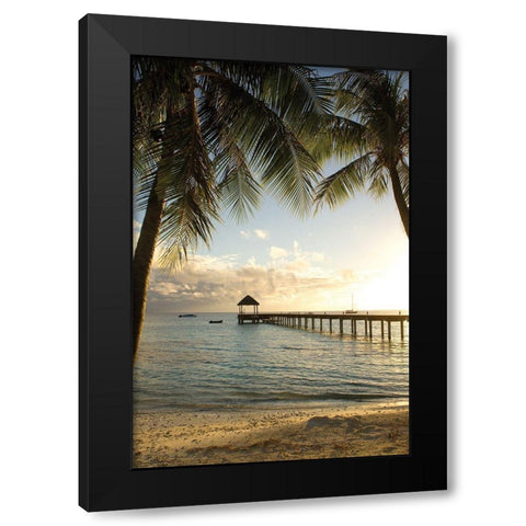 Pier and Palm Black Modern Wood Framed Art Print by Delimont, Danita