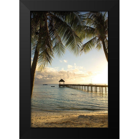 Pier and Palm Black Modern Wood Framed Art Print by Delimont, Danita