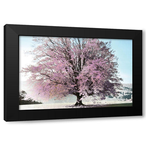 Season of Spring Black Modern Wood Framed Art Print with Double Matting by Weisz, Irene
