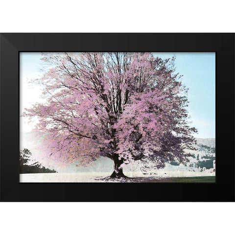Season of Spring Black Modern Wood Framed Art Print by Weisz, Irene