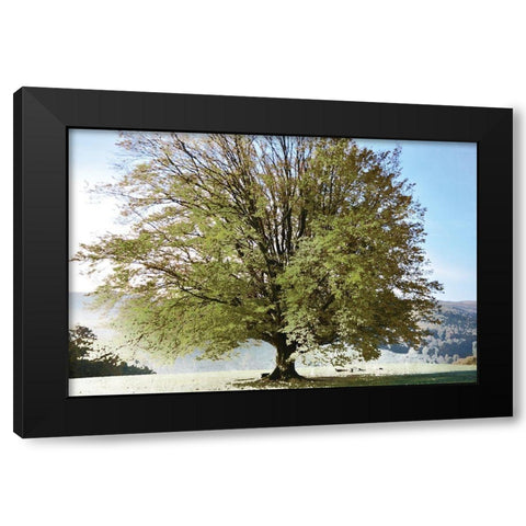 Season of Summer Black Modern Wood Framed Art Print by Weisz, Irene