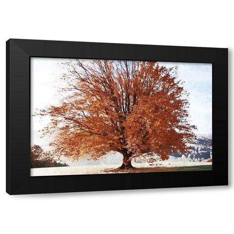 Season of Fall Black Modern Wood Framed Art Print with Double Matting by Weisz, Irene