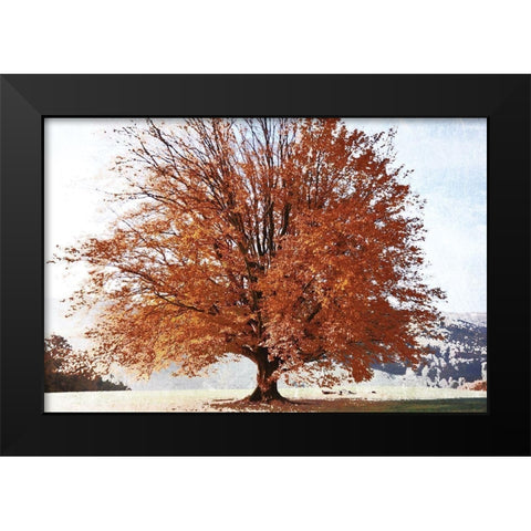 Season of Fall Black Modern Wood Framed Art Print by Weisz, Irene