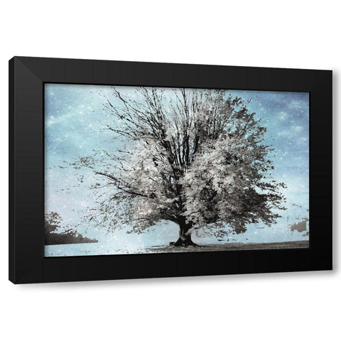 Season of Winter Black Modern Wood Framed Art Print with Double Matting by Weisz, Irene
