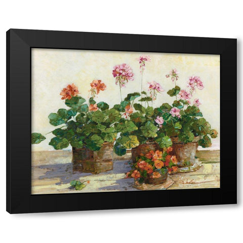 Veranda in Positano I Black Modern Wood Framed Art Print with Double Matting by Swatland, Sally