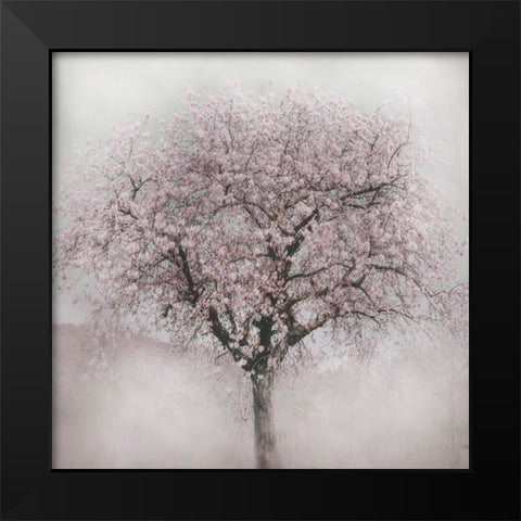 Blossoms of Spring IV Black Modern Wood Framed Art Print by Weisz, Irene