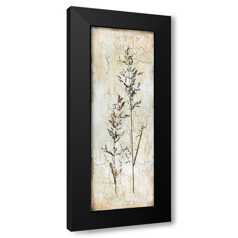 Delicate Nature I Black Modern Wood Framed Art Print by Robinson, Carol