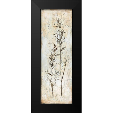 Delicate Nature I Black Modern Wood Framed Art Print by Robinson, Carol