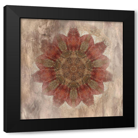 Autumn Kaleidoscope Black Modern Wood Framed Art Print with Double Matting by Weisz, Irene