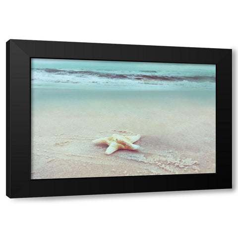 Beach Set Starfish Black Modern Wood Framed Art Print with Double Matting by Nan