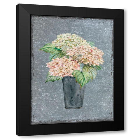Hydrangea on Galvanized Metal Black Modern Wood Framed Art Print with Double Matting by Robinson, Carol