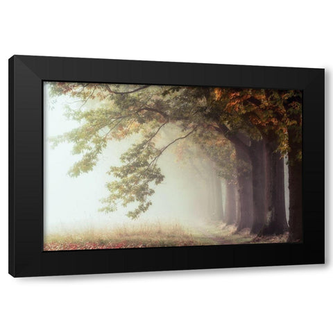Dawnscratchers Black Modern Wood Framed Art Print by Van de Goor, Lars
