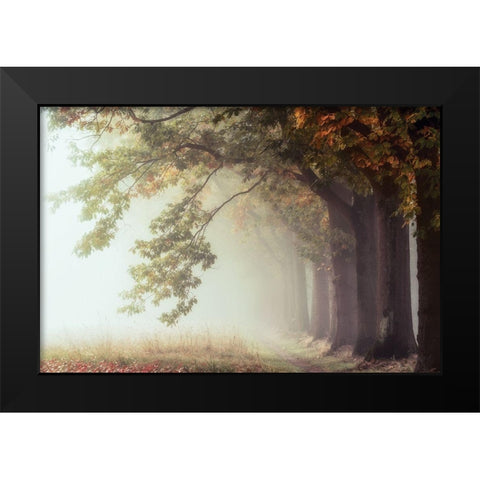 Dawnscratchers Black Modern Wood Framed Art Print by Van de Goor, Lars
