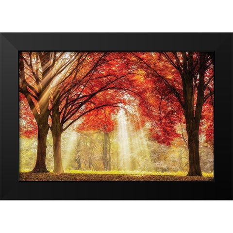 Everland Black Modern Wood Framed Art Print by Van de Goor, Lars