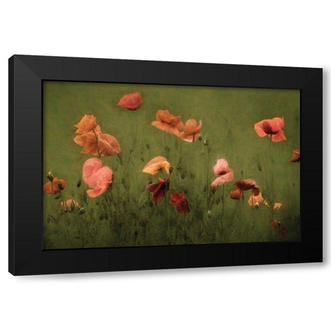 The Wild Black Modern Wood Framed Art Print by Van de Goor, Lars