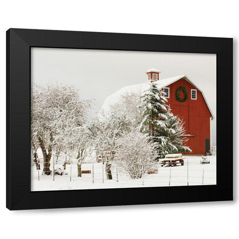 Festive Barn Black Modern Wood Framed Art Print by Delimont, Danita