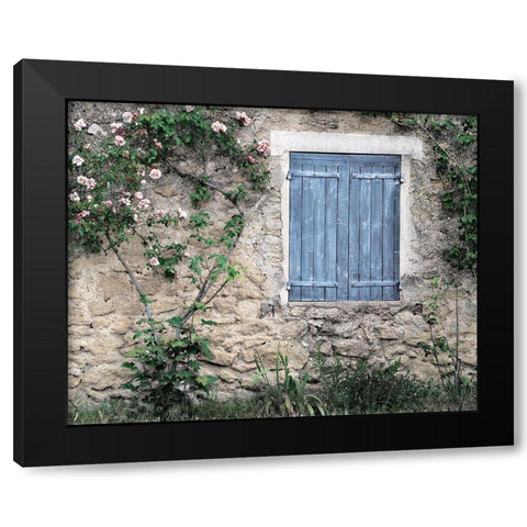 Roses In Black Modern Wood Framed Art Print by Delimont, Danita