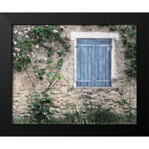 Roses In Black Modern Wood Framed Art Print by Delimont, Danita