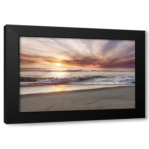 Point Reyes Black Modern Wood Framed Art Print by Delimont, Danita