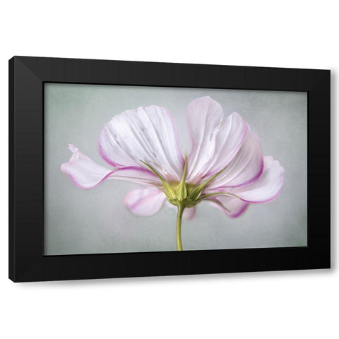 Textured Floral Black Modern Wood Framed Art Print by Disher, Mandy