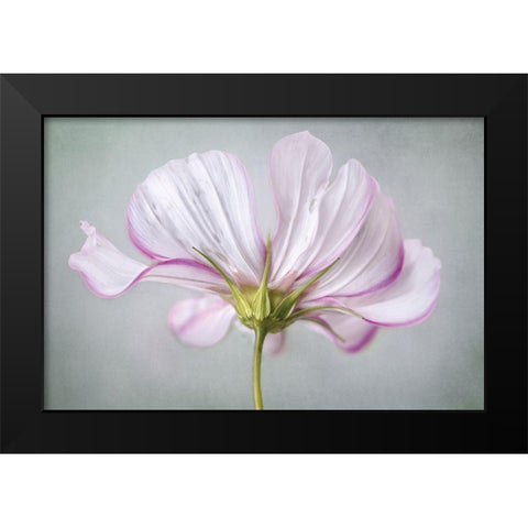 Textured Floral Black Modern Wood Framed Art Print by Disher, Mandy