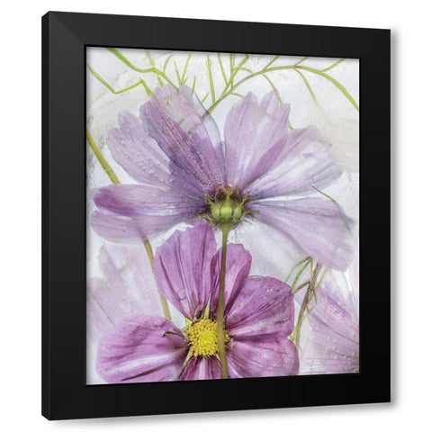 Frozen In Time I Black Modern Wood Framed Art Print by Disher, Mandy