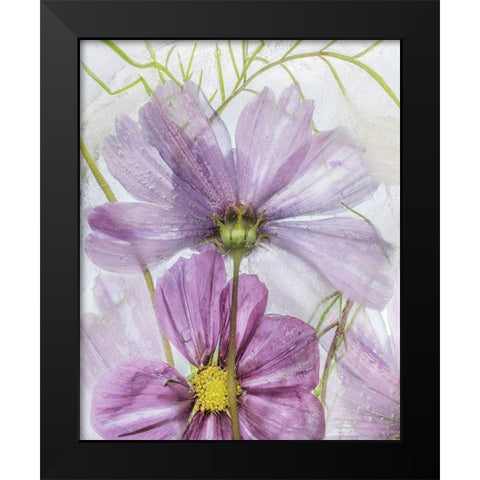 Frozen In Time I Black Modern Wood Framed Art Print by Disher, Mandy